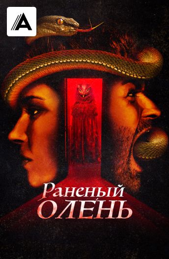 Раненый олень смотреть на TV+